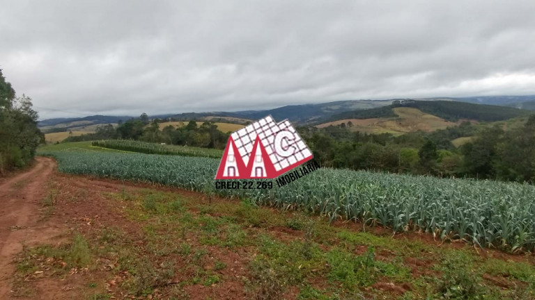 Imagem Imóvel com 3 Quartos à Venda, 968.000 m² em Pilar Do Sul - Pilar Do Sul
