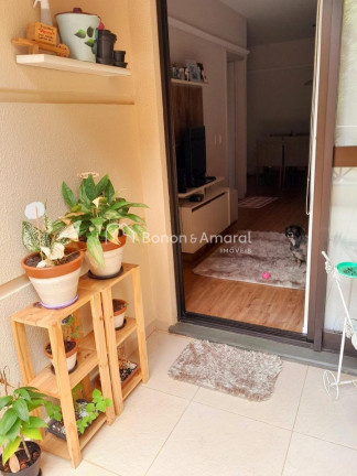Imagem Apartamento com 3 Quartos à Venda, 98 m² em Cambuí - Campinas Imagem Apartamento com 3 Quartos à Venda, 98 m² em Cambuí - Campinas