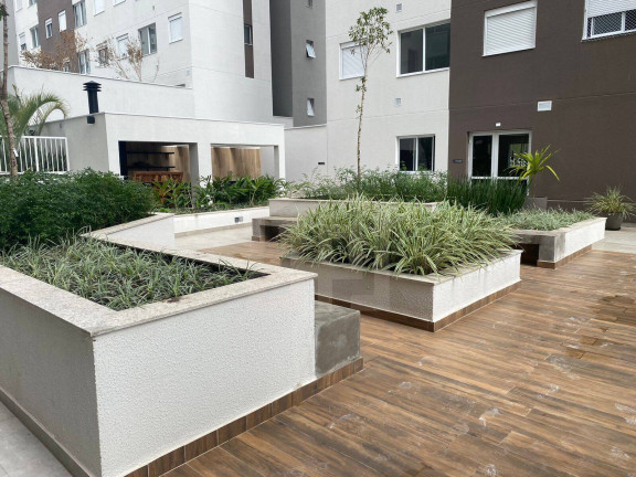 Imagem Apartamento com 2 Quartos à Venda, 34 m² em Jardim Taquaral - São Paulo