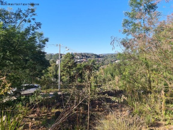 Terreno à Venda, 392 m² em Bavaria - Nova Petrópolis