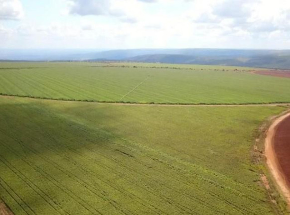 Imagem Fazenda à Venda, 1.300 m² em Zona Rural - Planaltina Imagem Fazenda à Venda, 1.300 m² em Zona Rural - Planaltina