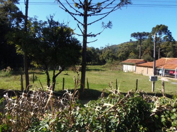 Imagem Terreno à Venda, 515 m² em Bateias - Campo Largo Imagem Terreno à Venda, 515 m² em Bateias - Campo Largo