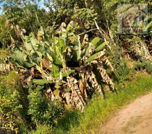 Imagem Chácara com 6 Quartos à Venda, 400 m² em Zona Norte - São José Dos Campos Imagem Chácara com 6 Quartos à Venda, 400 m² em Zona Norte - São José Dos Campos