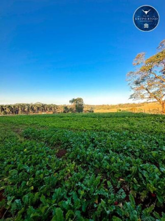 Chácara à Venda, 16 m² em Sítios De Recreio Dos Bandeirantes - Goiânia
