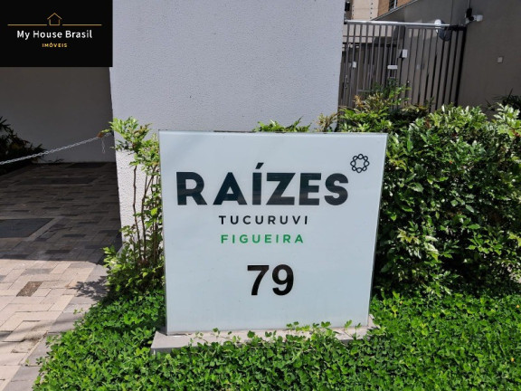 Imagem Apartamento com 1 Quarto à Venda, 25 m² em Tucuruvi - São Paulo Imagem Apartamento com 1 Quarto à Venda, 25 m² em Tucuruvi - São Paulo