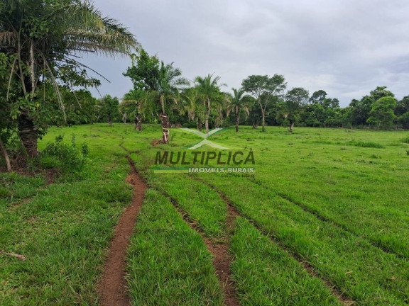 Imagem Fazenda à Venda, 117 m² em União De Minas Imagem Fazenda à Venda, 117 m² em União De Minas