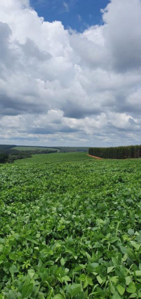 Imagem Fazenda à Venda, 171 m² em Rural - Cabrália Paulista Imagem Fazenda à Venda, 171 m² em Rural - Cabrália Paulista