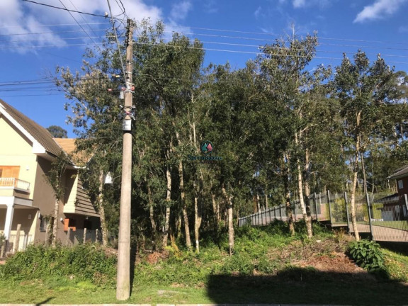 Imagem Terreno à Venda, 825 m² em Vale Das Colinas - Gramado Imagem Terreno à Venda, 825 m² em Vale Das Colinas - Gramado