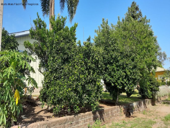 Imagem Casa com 3 Quartos à Venda, 109 m² em Germânia - Nova Petrópolis Imagem Casa com 3 Quartos à Venda, 109 m² em Germânia - Nova Petrópolis