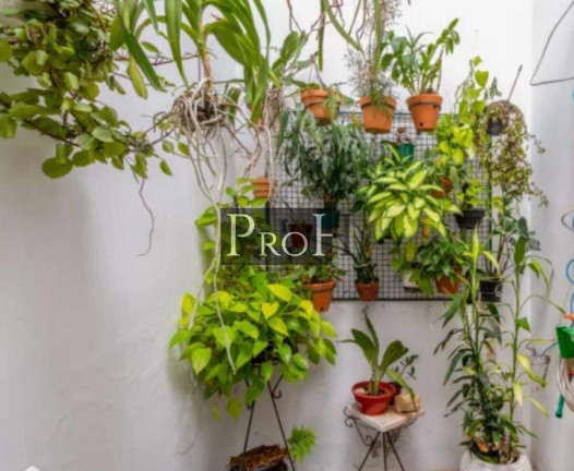 Imagem Casa com 3 Quartos à Venda, 150 m² em Santa Paula - São Caetano Do Sul Imagem Casa com 3 Quartos à Venda, 150 m² em Santa Paula - São Caetano Do Sul