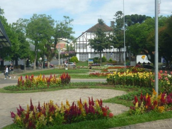 Imagem Terreno à Venda, 375 m² em Pinhal Alto - Nova Petrópolis Imagem Terreno à Venda, 375 m² em Pinhal Alto - Nova Petrópolis