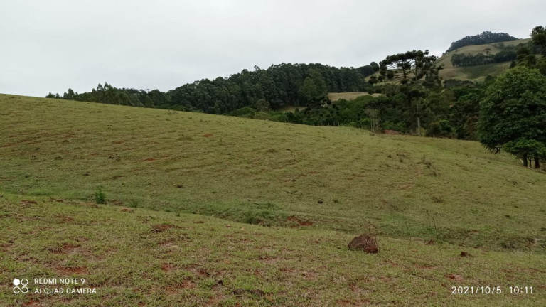 Imagem Fazenda à Venda, 30.000 m² em Centro - Joanópolis Imagem Fazenda à Venda, 30.000 m² em Centro - Joanópolis