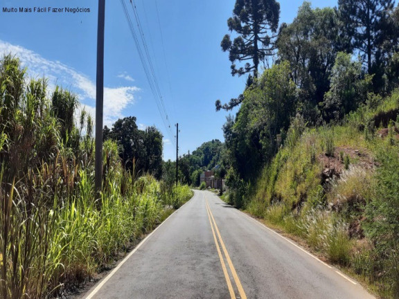 Terreno à Venda, 13 m² em Linha Olinda - Nova Petrópolis
