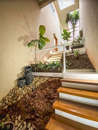 Imagem Casa com 3 Quartos à Venda, 400 m² em Santa Maria - São Caetano Do Sul