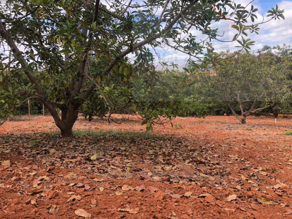 Imagem Chácara à Venda, 2.000 m² em Serra Azul Imagem Chácara à Venda, 2.000 m² em Serra Azul