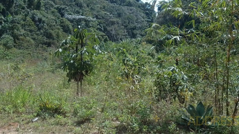 Imagem Imóvel com 1 Quarto à Venda, 20.000 m² em Marechal Floriano - Marechal Floriano