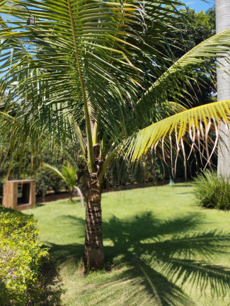 Imagem Chácara com 3 Quartos à Venda, 800 m² em éden - Sorocaba