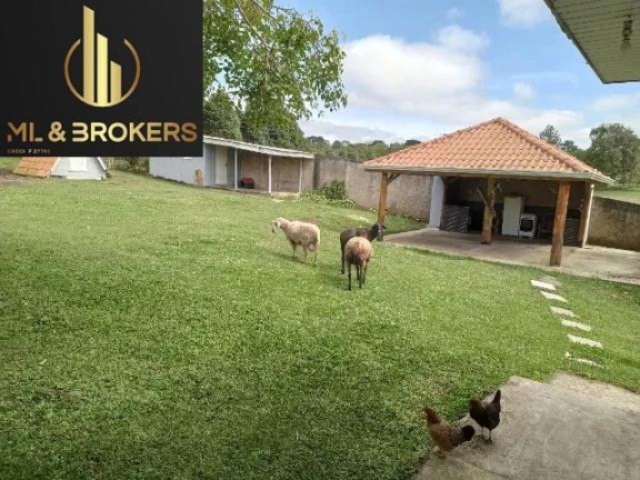 Imagem Imóvel com 3 Quartos à Venda, 5.000 m² em Cotia - São José Dos Pinhais