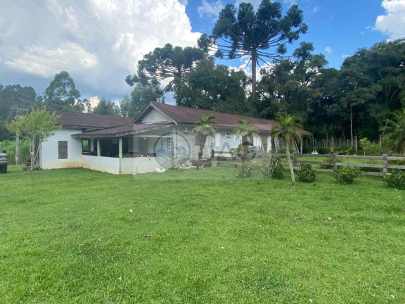 Imagem Imóvel com 6 Quartos à Venda, 3.000 m² em Distrito Industrial - Campina Grande Do Sul Imagem Imóvel com 6 Quartos à Venda, 3.000 m² em Distrito Industrial - Campina Grande Do Sul