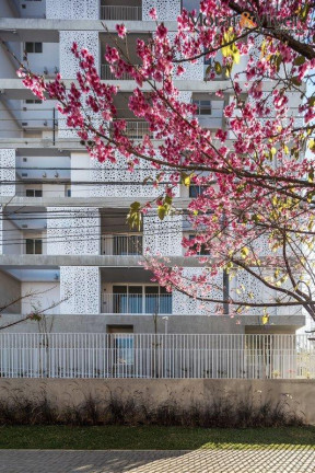 Imagem Apartamento com 3 Quartos à Venda, 228 m² em Vila Izabel - Curitiba