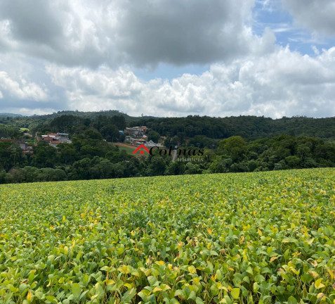 Imagem Terreno à Venda, 276.773 m² em Depois Do Centro - Ibiúna Imagem Terreno à Venda, 276.773 m² em Depois Do Centro - Ibiúna