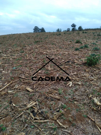 Chácara à Venda, 15 m² em Zona Rural - Jacutinga