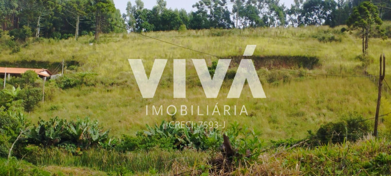 Imovel