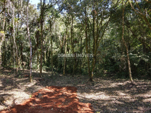 Imagem Imóvel à Venda, em Região De Santo Antônio Do Pinhal - Santo Antônio Do Pinhal Imagem Imóvel à Venda, em Região De Santo Antônio Do Pinhal - Santo Antônio Do Pinhal