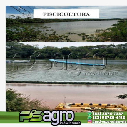 Imagem Fazenda à Venda, 6.000 m² em Loteamento Batel - Maringá Imagem Fazenda à Venda, 6.000 m² em Loteamento Batel - Maringá