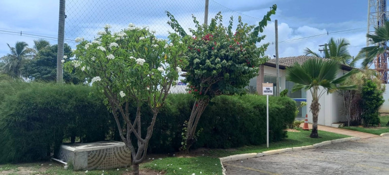 Imagem Casa com 4 Quartos à Venda, 280 m² em Zona De Expansão (mosqueiro) - Aracaju Imagem Casa com 4 Quartos à Venda, 280 m² em Zona De Expansão (mosqueiro) - Aracaju