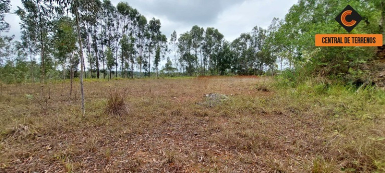 Imagem Imóvel com 2 Quartos à Venda, 100 m² em Pitanguinha - Simões Filho Imagem Imóvel com 2 Quartos à Venda, 100 m² em Pitanguinha - Simões Filho