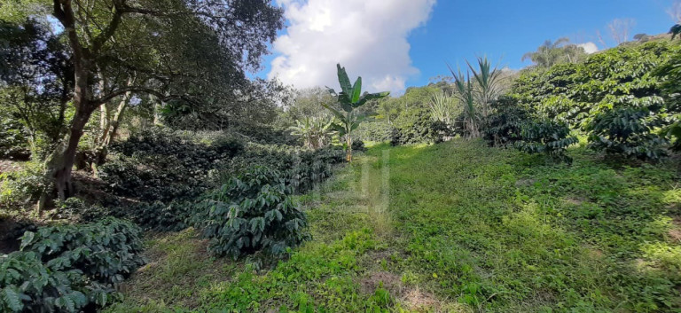 Imagem Imóvel à Venda, 3 m² em Milho Verde - Bandeira Do Sul