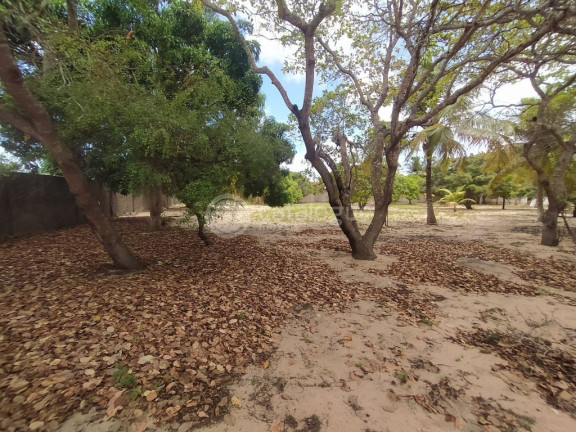 Imagem Fazenda à Venda, 6.400 m² em Pium - Nísia Floresta Imagem Fazenda à Venda, 6.400 m² em Pium - Nísia Floresta