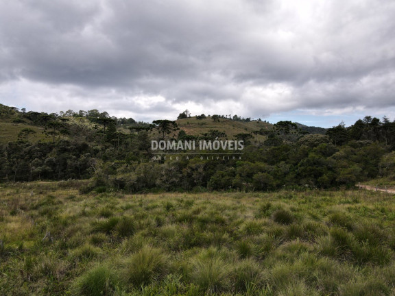 Imagem Terreno à Venda, 7.500 m² em Região Do Parque Da Ferradura - Campos Do Jordão