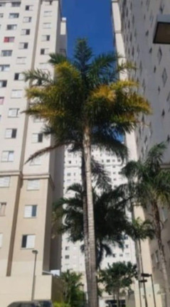 Imagem Apartamento com 2 Quartos à Venda, 46 m² em Vila Nova Curuçá - São Paulo