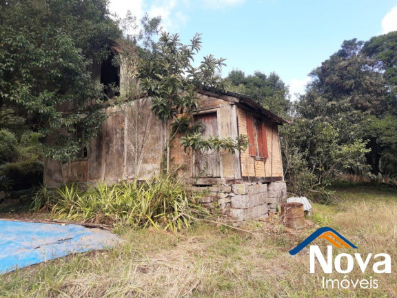 Imagem Imóvel à Venda, 120.000 m² em Linha Pirajá Baixa - Nova Petrópolis Imagem Imóvel à Venda, 120.000 m² em Linha Pirajá Baixa - Nova Petrópolis