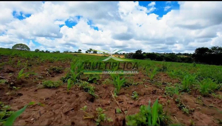 Imagem Fazenda à Venda, 1.257 m² em São João Da Ponte Imagem Fazenda à Venda, 1.257 m² em São João Da Ponte