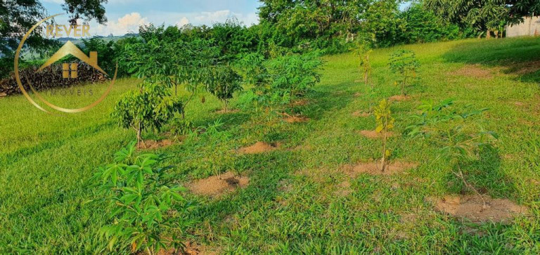 Imagem Imóvel com 2 Quartos à Venda, 40.000 m² em Sousas - Campinas Imagem Imóvel com 2 Quartos à Venda, 40.000 m² em Sousas - Campinas