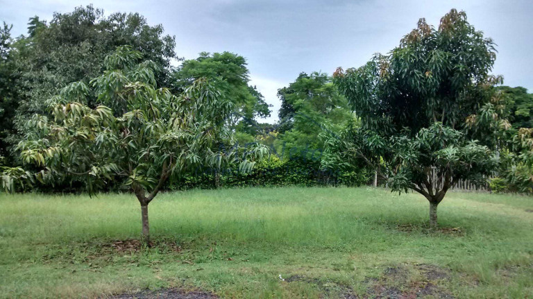 Imagem Fazenda à Venda, 8.400 m² em Zona Rural - Tambaú Imagem Fazenda à Venda, 8.400 m² em Zona Rural - Tambaú