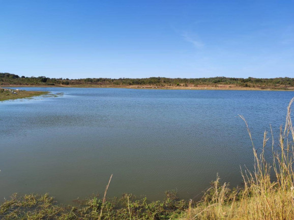 Imagem Fazenda à Venda, em Nossa Senhora Do Livramento Imagem Fazenda à Venda, em Nossa Senhora Do Livramento
