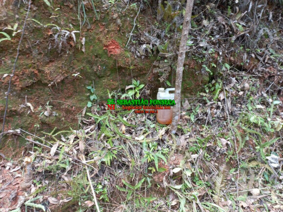 Imagem Chácara à Venda, 30.000 m² em Centro - Monteiro Lobato Imagem Chácara à Venda, 30.000 m² em Centro - Monteiro Lobato