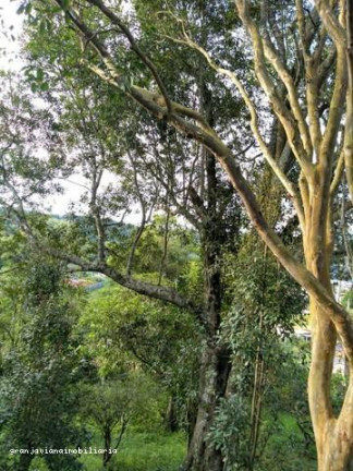 Imagem Chácara à Venda, em Bairro Alvorada Dos Passaros - São Roque Imagem Chácara à Venda, em Bairro Alvorada Dos Passaros - São Roque