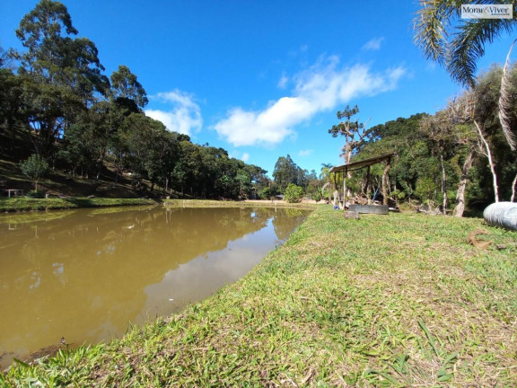 Imagem Imóvel à Venda, 8.000 m² em Zona Rural - Quatro Barras Imagem Imóvel à Venda, 8.000 m² em Zona Rural - Quatro Barras