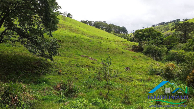 Imagem Chácara à Venda, 7 m² em Centro - Paraisópolis Imagem Chácara à Venda, 7 m² em Centro - Paraisópolis