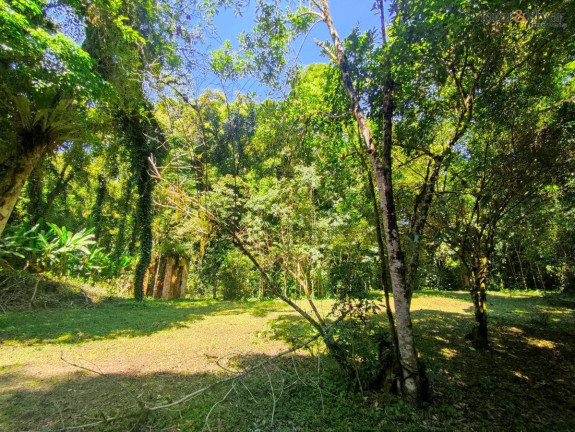 Imagem Chácara à Venda, 6.000 m² em Loteamento Chácara Chantecler - Piraquara Imagem Chácara à Venda, 6.000 m² em Loteamento Chácara Chantecler - Piraquara