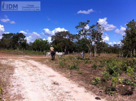 Imagem Chácara à Venda, 9.680.000 m² em Centro - Cavalcante Imagem Chácara à Venda, 9.680.000 m² em Centro - Cavalcante
