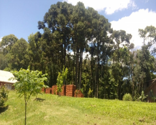 Imagem Imóvel com 1 Quarto à Venda, 7.500 m² em Linha Imperial - Nova Petrópolis