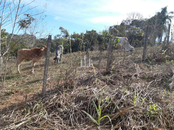 Imagem Terreno à Venda, 4.357 m² em Socorro Imagem Terreno à Venda, 4.357 m² em Socorro