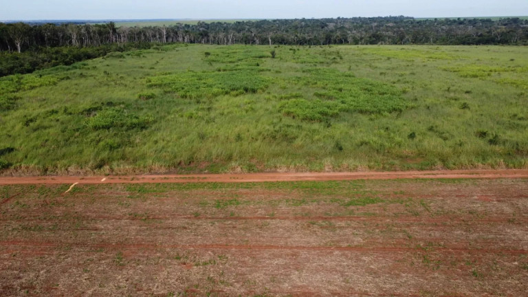 Imagem Fazenda à Venda, 13 m² em Residencial Maripá - Sinop Imagem Fazenda à Venda, 13 m² em Residencial Maripá - Sinop
