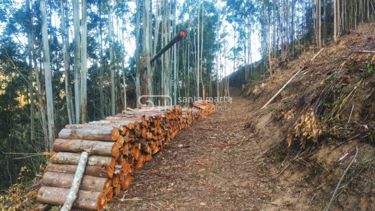 Imagem Imóvel à Venda, 1 m² em Bairro Da Tabuleta - Piquete
